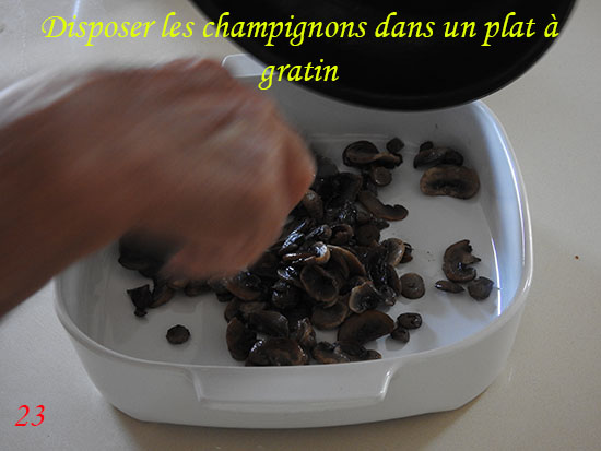 gramoulechamp