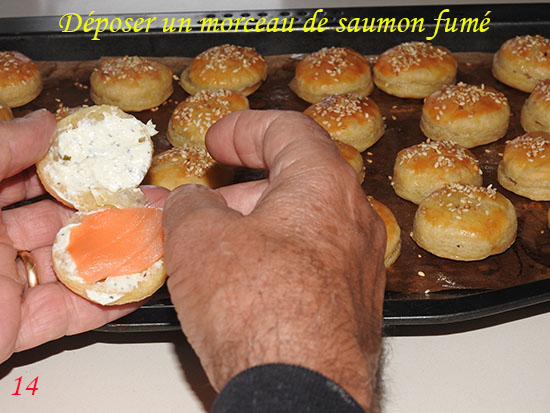 fefrosau