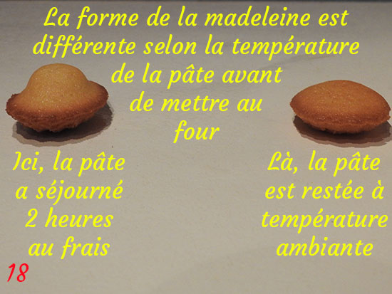 madeleine